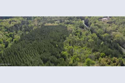 Tbd Nicholson Road, Rockingham, NC 28379 - Photo 3
