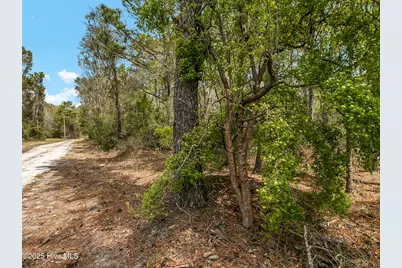 00 Old Whitfield Road, Hampstead, NC 28443 - Photo 5