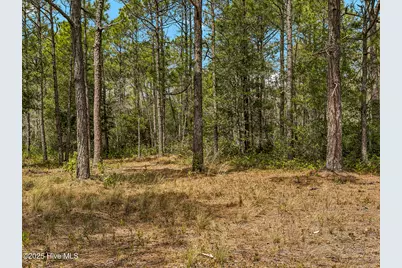 00 Old Whitfield Road, Hampstead, NC 28443 - Photo 7