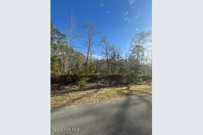 607 Pamlico River Drive, Washington, NC 27889 - Photo 9
