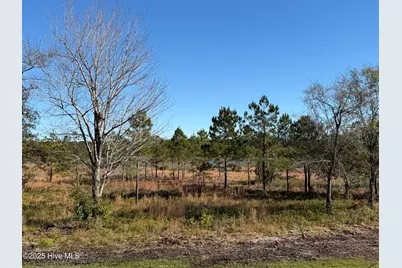 302 E Ivybridge Drive, Hubert, NC 28539 - Photo 33