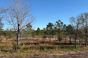 302 E Ivybridge Dr, Hubert, NC 28539 - Photo 33