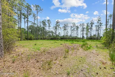 3411 Upper Neck Road, Bayboro, NC 28515 - Photo 5