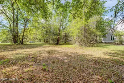 161 Maple Creek Drive, Wallace, NC 28466 - Photo 9