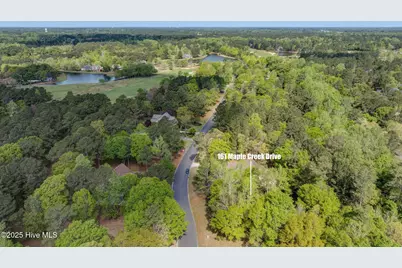 161 Maple Creek Drive, Wallace, NC 28466 - Photo 23