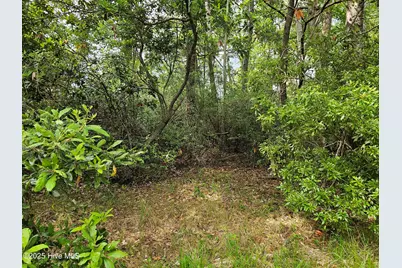 1203 Petite Terre Court, New Bern, NC 28560 - Photo 3