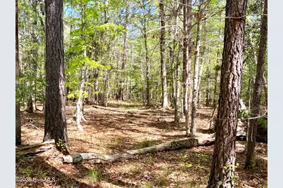 Lot 2 Berrys Creek Road, Beaufort, NC 28516 - Photo 1