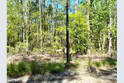 Lot 2 Berrys Creek Road, Beaufort, NC 28516 - Photo 5