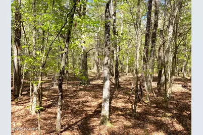 Lot 2 Berrys Creek Road, Beaufort, NC 28516 - Photo 3