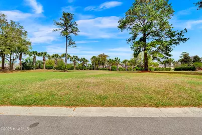 1007 Natural Springs Way, Leland, NC 28451 - Photo 15