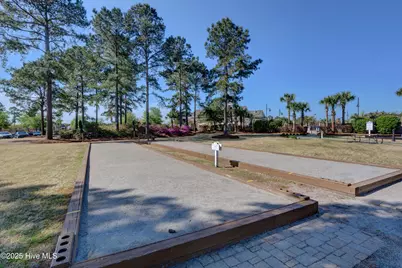 1007 Natural Springs Way, Leland, NC 28451 - Photo 21