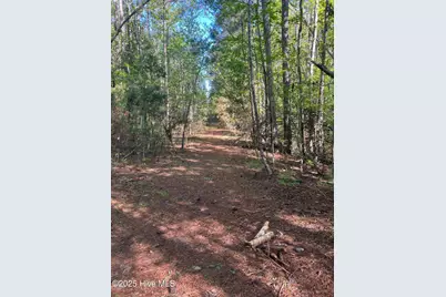 Tbd Wood Creek Drive, Hubert, NC 28539 - Photo 7