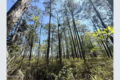 Lot 18 Davis Lane, Belhaven, NC 27810 - Photo 15