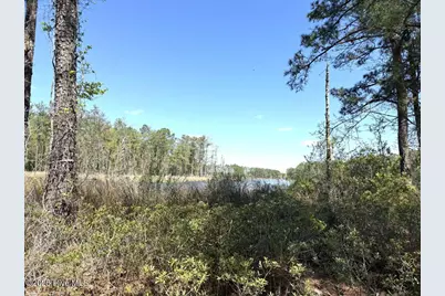 Lot 18 Davis Lane, Belhaven, NC 27810 - Photo 17