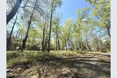 Lot 48 Sunset Point, Belhaven, NC 27810 - Photo 15