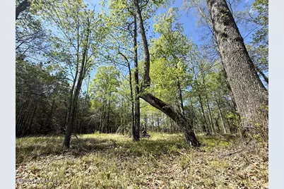 Lot 48 Sunset Point, Belhaven, NC 27810 - Photo 13