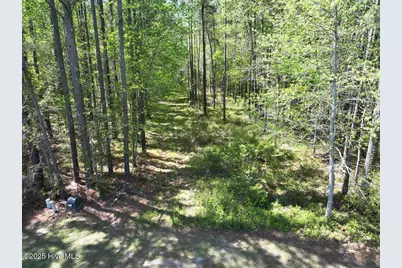 Lot 5 Mixon Creek Drive, Bath, NC 27808 - Photo 9