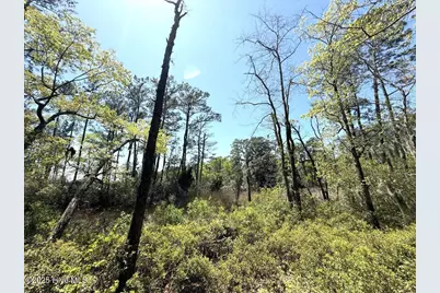 Lot 5 Mixon Creek Drive, Bath, NC 27808 - Photo 15