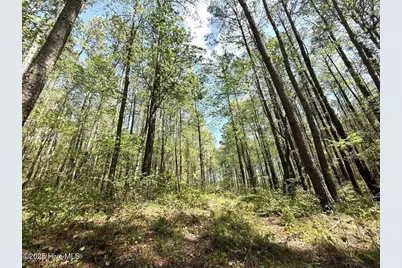 Lot 5 Mixon Creek Drive, Bath, NC 27808 - Photo 17