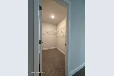 317 Harborwood Street, Lillington, NC 27546 - Photo 33