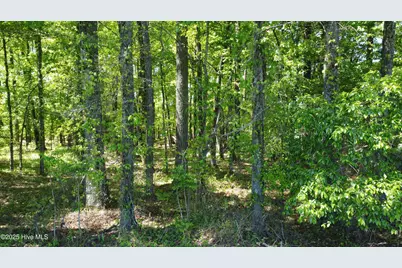 Off Speights Chapel Road, Whitakers, NC 27891 - Photo 31