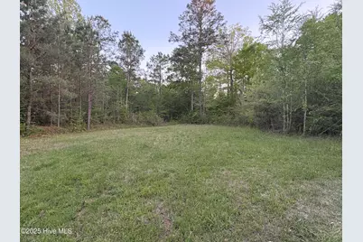 Off Speights Chapel Road, Whitakers, NC 27891 - Photo 47