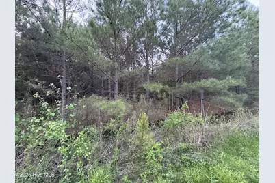 Off Speights Chapel Road, Whitakers, NC 27891 - Photo 53