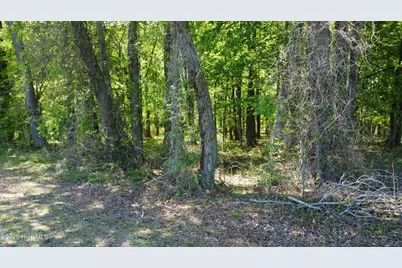 Off Speights Chapel Road, Whitakers, NC 27891 - Photo 29