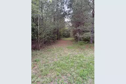 Off Speights Chapel Road, Whitakers, NC 27891 - Photo 51