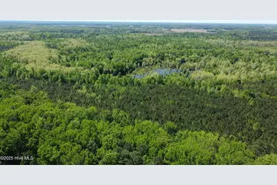 Off Speights Chapel Road, Whitakers, NC 27891 - Photo 25