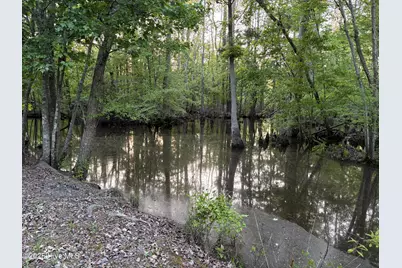Off Speights Chapel Road, Whitakers, NC 27891 - Photo 39