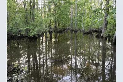 Off Speights Chapel Road, Whitakers, NC 27891 - Photo 41