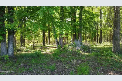 Off Speights Chapel Road, Whitakers, NC 27891 - Photo 33