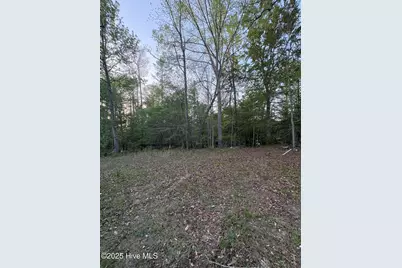 Off Speights Chapel Road, Whitakers, NC 27891 - Photo 45