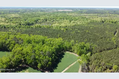 Off Speights Chapel Road, Whitakers, NC 27891 - Photo 5