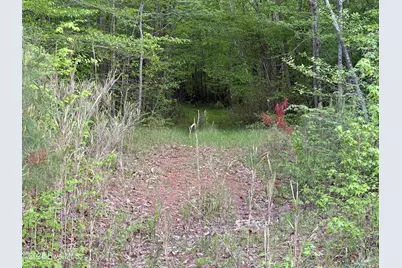Off Speights Chapel Road, Whitakers, NC 27891 - Photo 49