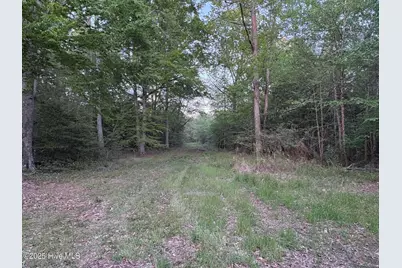 Off Speights Chapel Road, Whitakers, NC 27891 - Photo 43