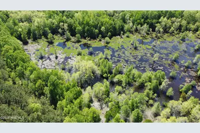 Off Speights Chapel Road, Whitakers, NC 27891 - Photo 15