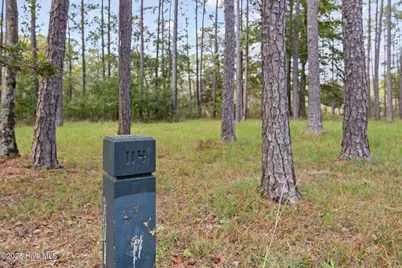 87 Broadview Point, Oriental, NC 28571 - Photo 19