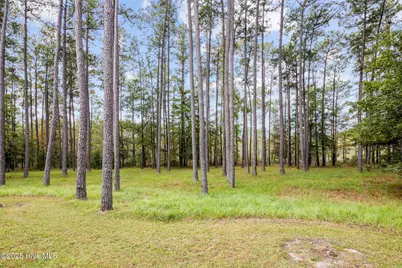 87 Broadview Point, Oriental, NC 28571 - Photo 21