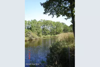 201 Battalina Lane, Belhaven, NC 27810 - Photo 13
