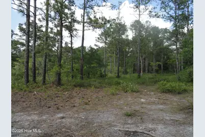1 River Trail Lot 1, Burgaw, NC 28425 - Photo 1