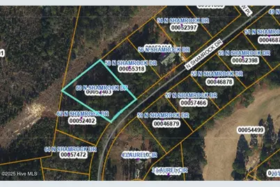 60 N Shamrock Drive, Jackson Springs, NC 27281 - Photo 1