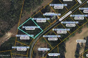60 N Shamrock Dr, Jackson Springs, NC 27281 - Photo 1
