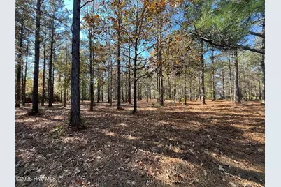 45 N Berne Landing Road, New Bern, NC 28560 - Photo 3