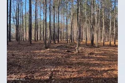 3227 Lee Landing Road, New Bern, NC 28560 - Photo 7