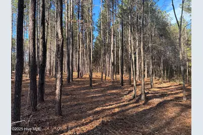 3227 Lee Landing Road, New Bern, NC 28560 - Photo 5