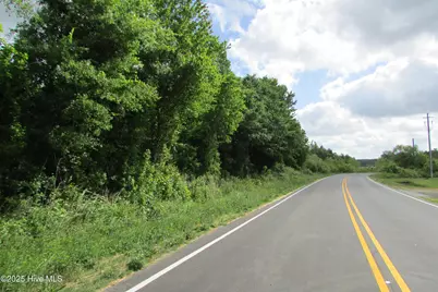 0 N Peavine North Road, Clinton, NC 28328 - Photo 3