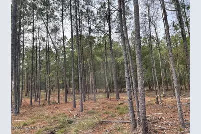 257 Garbacon Drive Drive, Beaufort, NC 28516 - Photo 5