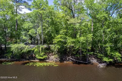 0 Riverview Drive, Burgaw, NC 28425 - Photo 19